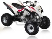 2010 BamX BX450-S Assault photo